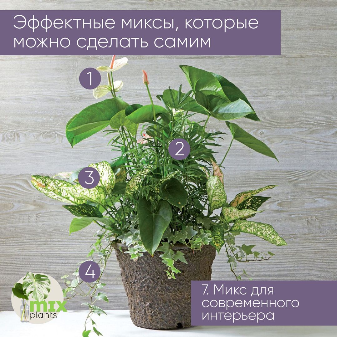 Легкий микс из растений для современного интерьера